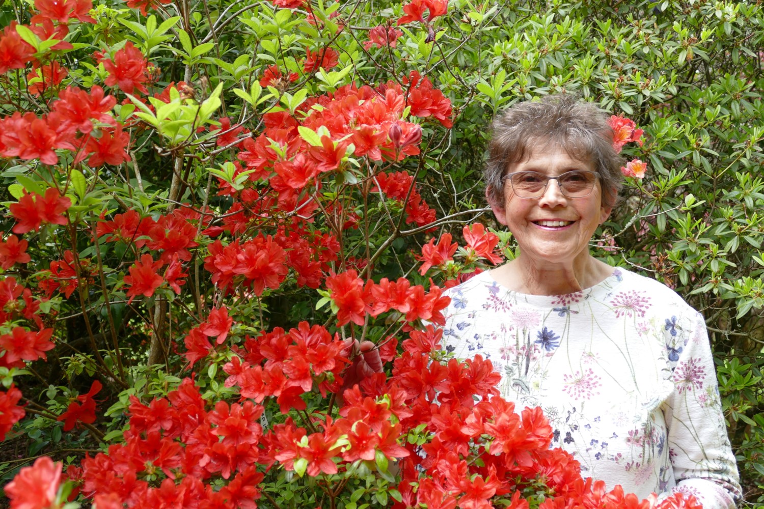 Rosemary Legrand image